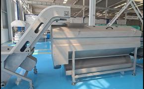 Continuous Brush Peeling And Cleaning Machine