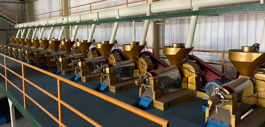 Oilseeds Oil Pressing Production Line