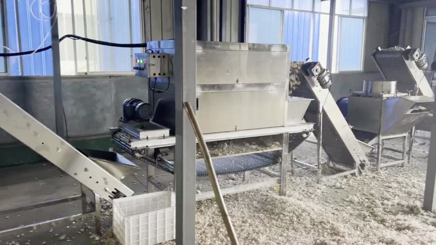 Domestic Garlic Peeling Project