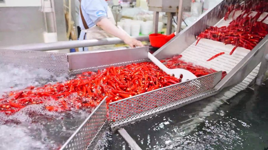 The Role of Fruit And Vegetable Washing Machines In Food Processing