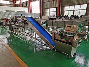 Cutting & Drying Production Line