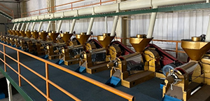 Oil Pressing Production Line