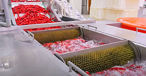 Paste & Powder Making Production Line