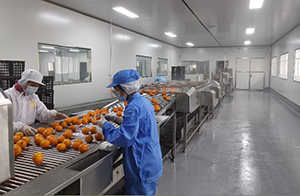 Juicing & Pulping Production Line