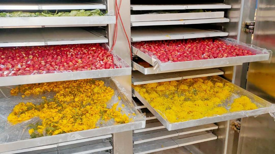 How Is Freeze-Dried Fruit Made And Why Is It So Expensive?