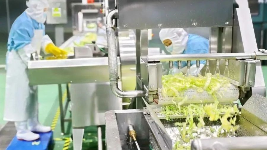 Advantages Of Central Kitchen Clean Vegetable Processing