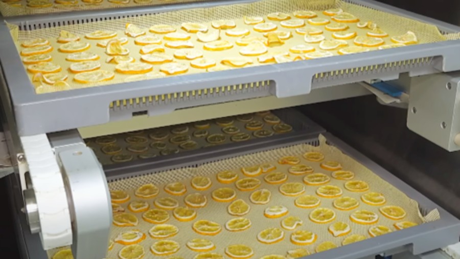 How Is Lemon Powder Produced?