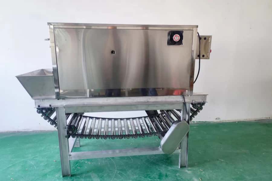 Onion Peeling Machine