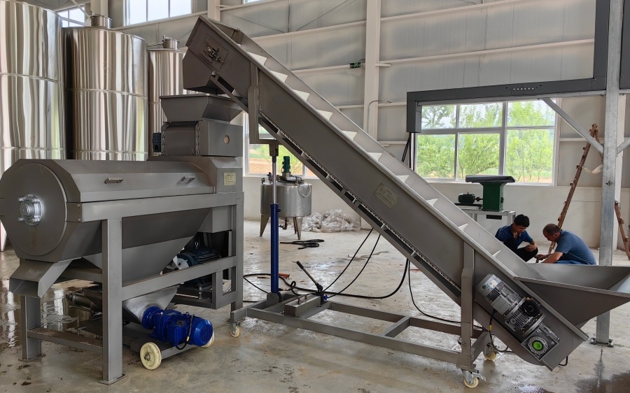 Apricot Wine and Peach Wine Pre-processing Equipment Project