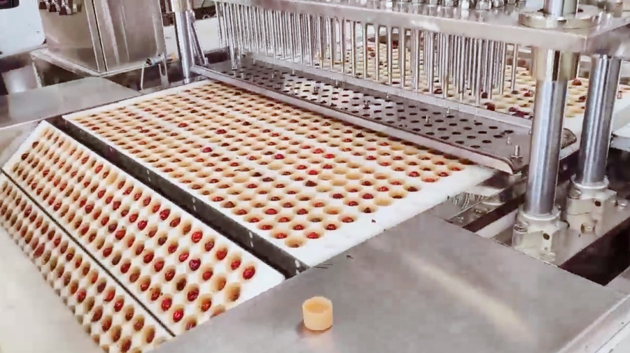 Red Dates Washing And Pitting Production Line