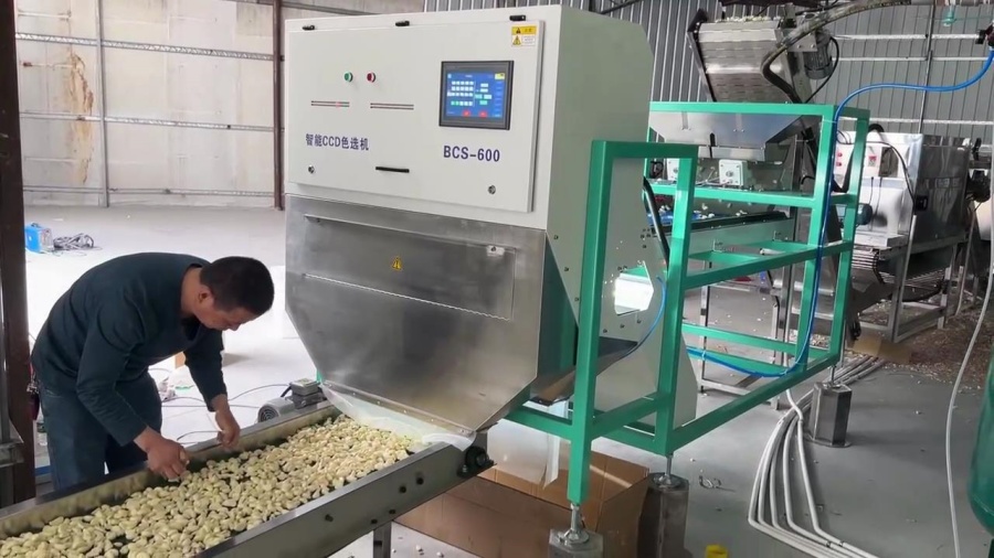 Garlic Peeling Production Line
