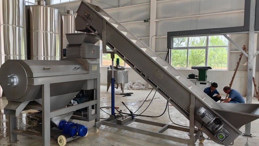 Apricot Wine and Peach Wine Pre-processing Equipment Project