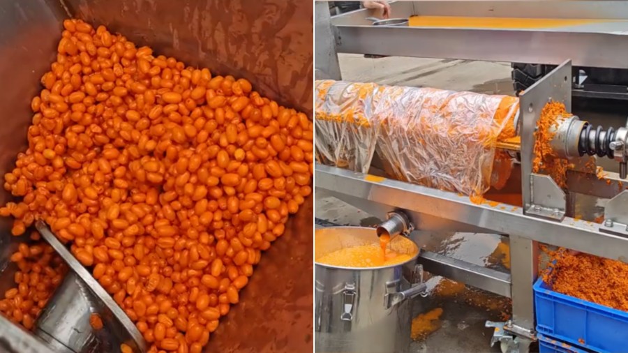 Testing of a Screw Juicer for Seabuckthorn Juice Extraction