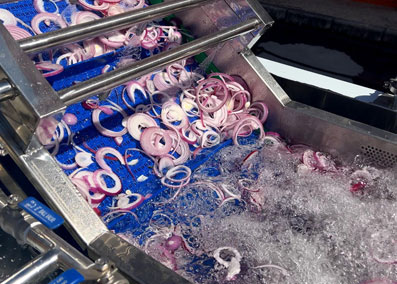 Vegetables Processing Machinery